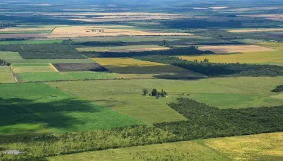 Habilitan la feria judicial contra el DNU que libera la venta de tierras a extranjeros