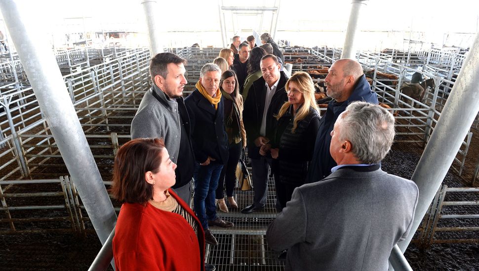 Cañuelas: el Banco Provincia abrirá una sucursal en el Mercado Agro Ganadero