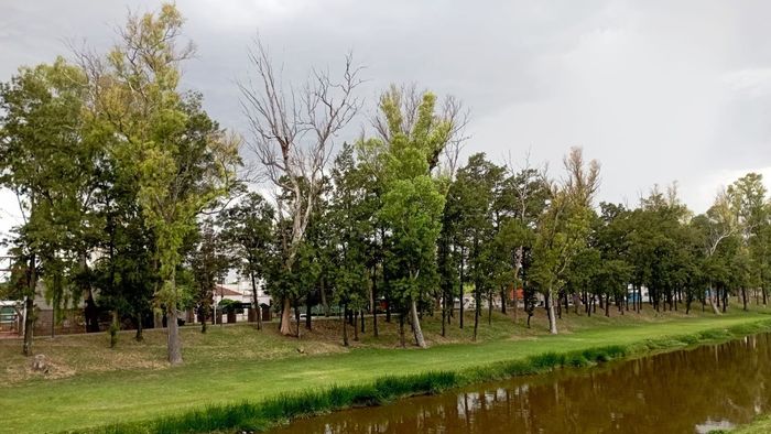 La lluvia dejó valores escasos en Pergamino y la región