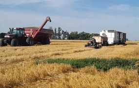 Campaña agrícola 2025/26: el campo se encuentra entre el optimismo productivo y la desconfianza política