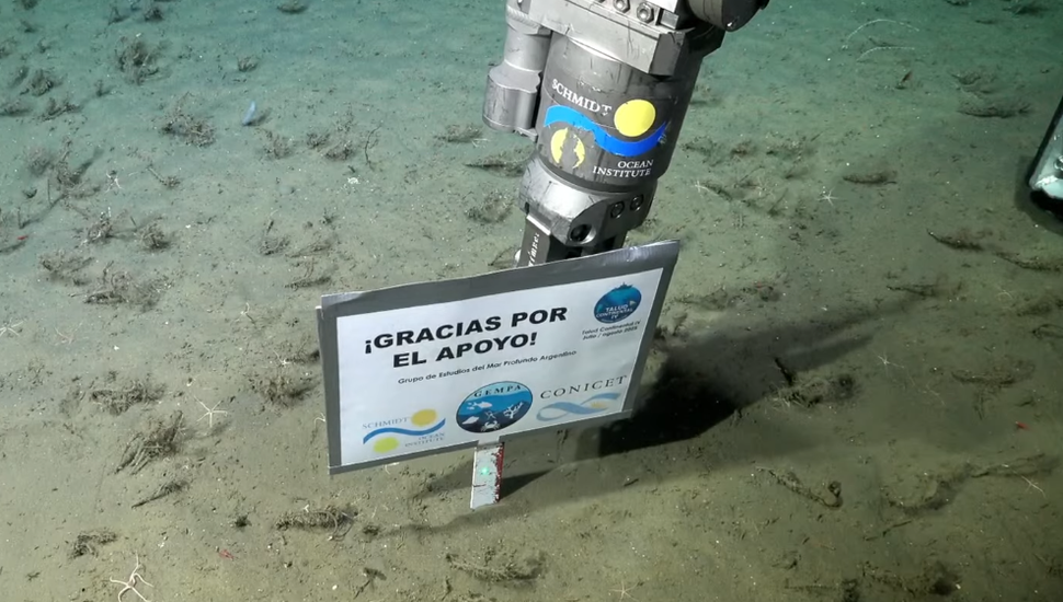"Gracias por el apoyo": el agradecimiento de los científicos del Conicet en el fondo del mar