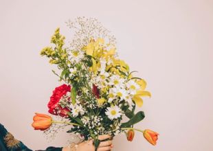 Día de la primavera: qué significado tienen las flores de regalo