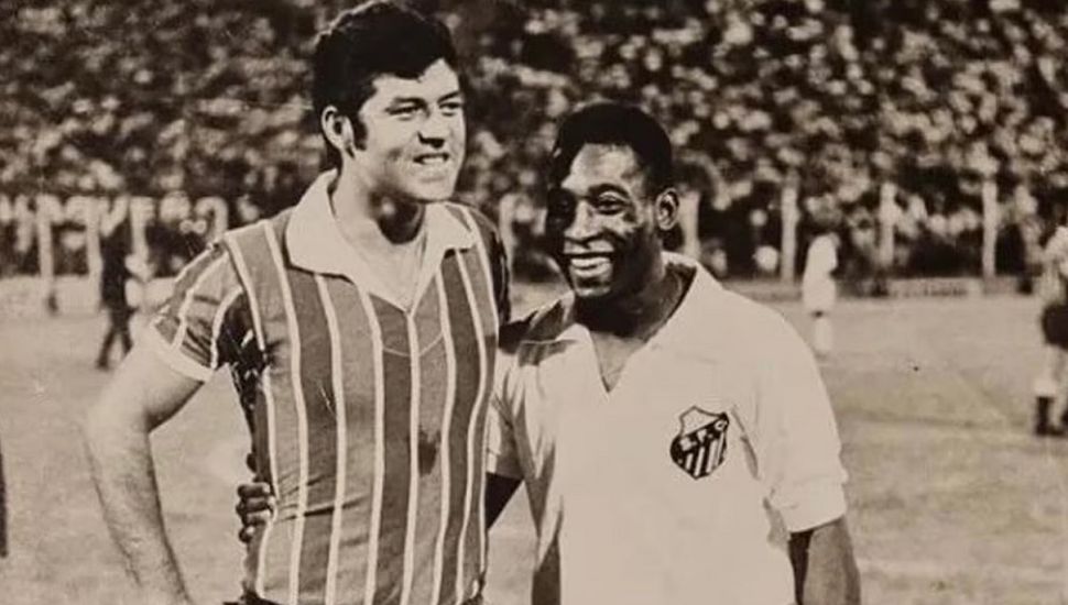 El halcón y el pie de Willington