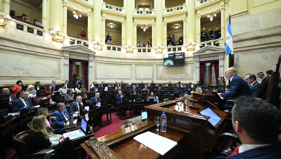 El Senado rechazó el veto a la Ley de Emergencia en Discapacidad