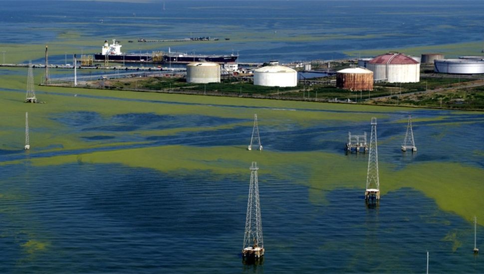 Donald Trump anunció la primera entrega de petróleo venezolano