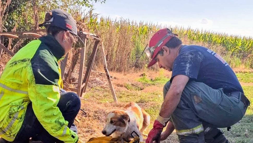 Exitoso rescate de un perro que cayó en un pozo en Inés Indart