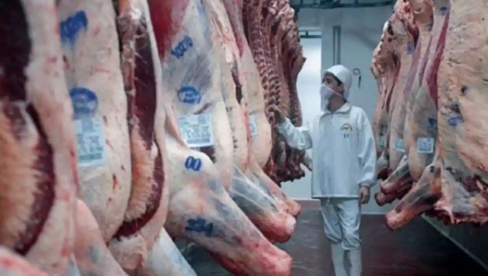 Las exportaciones de carne suben un 23,8%