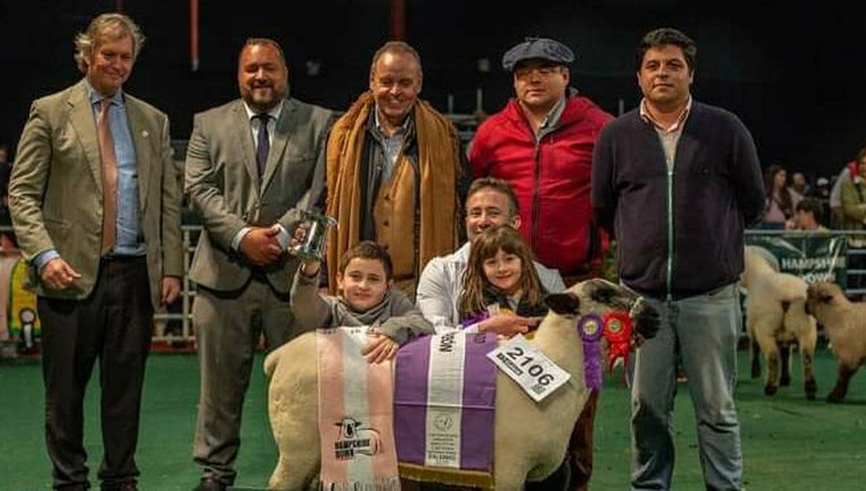 Dos cabañas ovinas de Pergamino fueron premiadas en La Rural de Buenos Aires