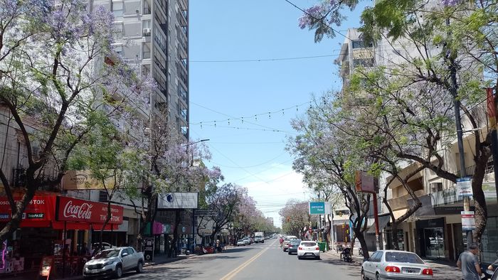 Primavera en Pergamino: La ciudad en imágenes