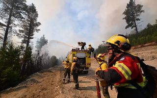 Incendios en Chubut: millonaria recompensa para encontrar a los responsables