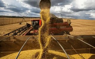 El Gobierno nacional anunció una nueva baja de retenciones