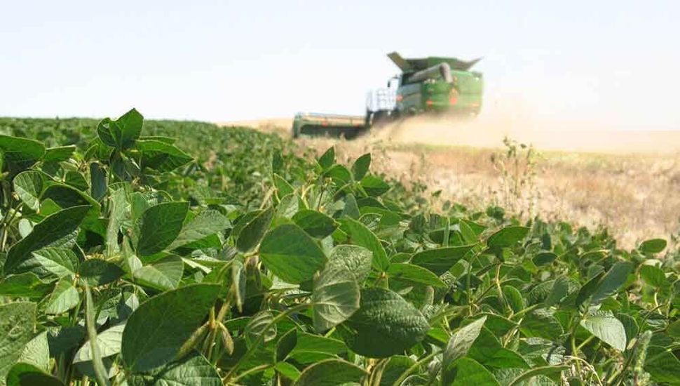 Pedro Jacquelin: "No creo que el 2025 sea un buen año para los productores agropecuarios"