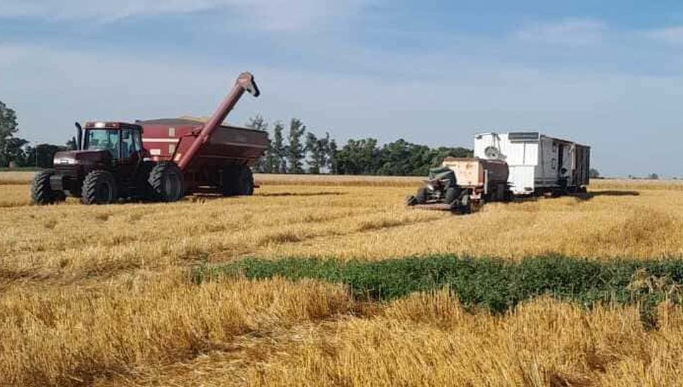 Campaña agrícola 2025/26: el campo se encuentra entre el optimismo productivo y la desconfianza política