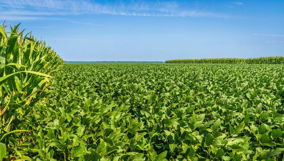 La importancia del cuidado de las tecnologías en el agro