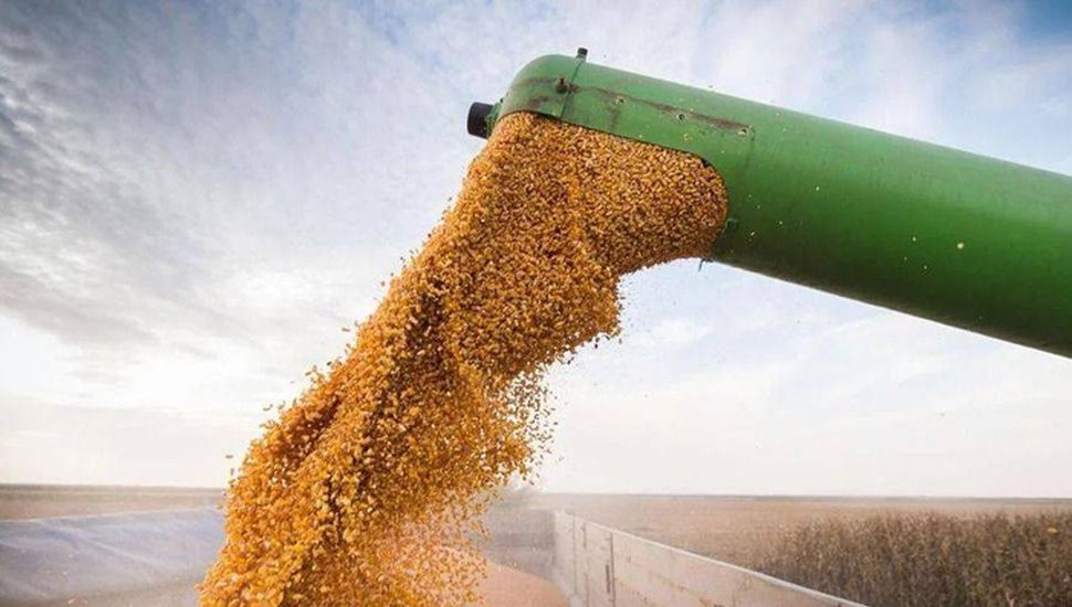 El Gobierno nacional confirmó que la baja de retenciones fue para buscar dólares