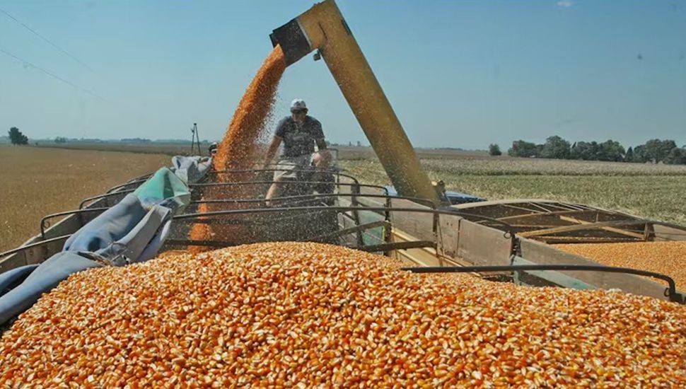 El sector del campo pide audiencia al Gobierno nacional ante "la crítica situación de los productores agropecuarios"