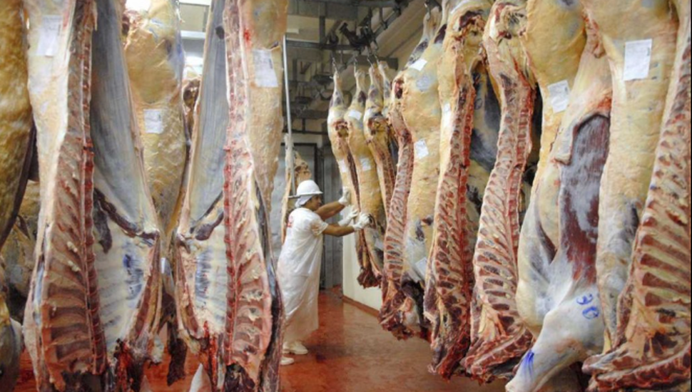 Retenciones: el Gobierno también elimina las de las carnes avícolas y bovinas