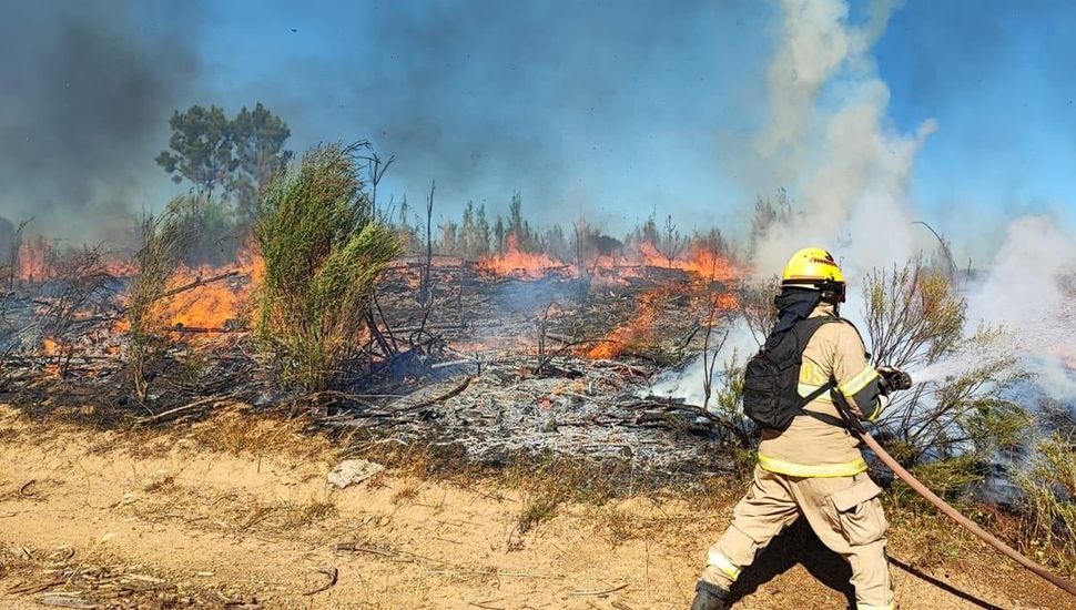 Al menos 10 detenidos en Chile por los incendios intencionales