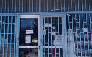 Clausuran supermercado chino en Rojas por presencia de zarigüeyas