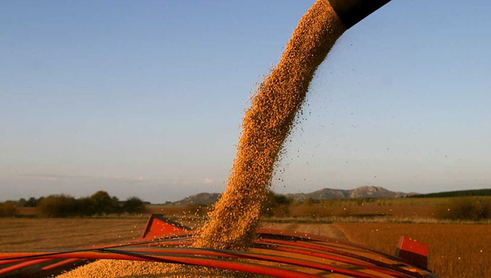 La timba y la estafa