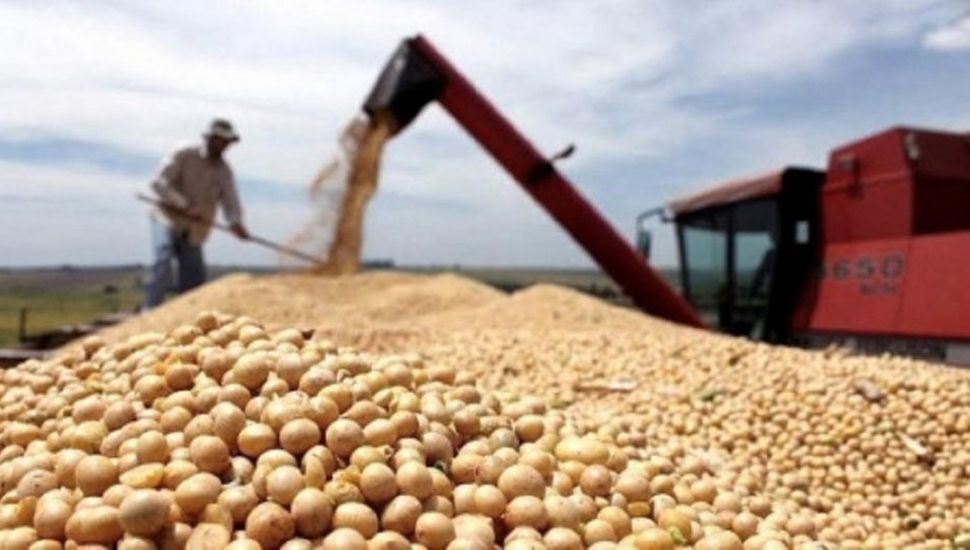 Cuáles son los productos regionales alcanzados por el dólas agro