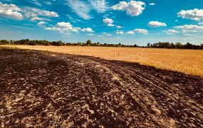 Nueva jornada con incendios de pastizales en Pergamino