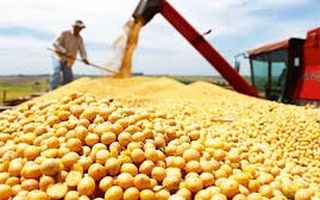 Argentina alcanzó un récord de exportaciones agroindustriales en 2025