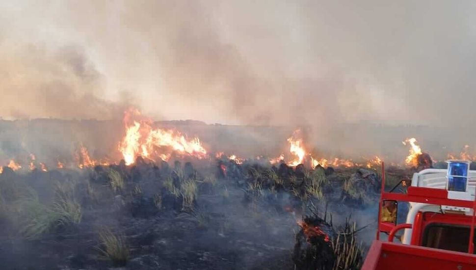 Los Bomberos de Inés Indart combatieron un incendio rural durante 11 horas