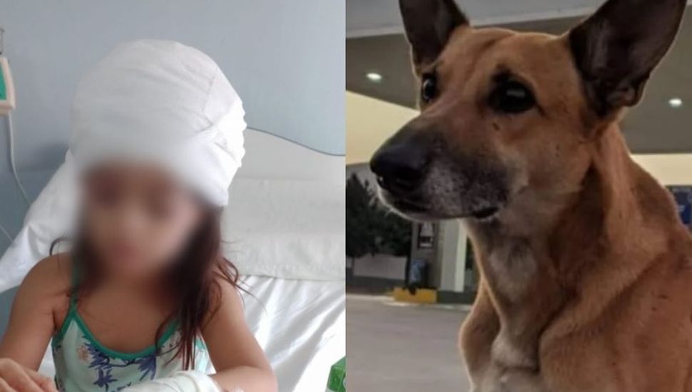 Una niña fue atacada por un perro callejero de Colón
