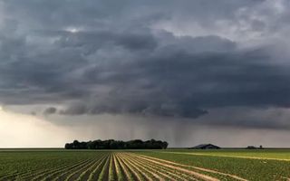 Se disipa el fenómeno de La Niña y mejora el panorama para la soja y el maíz: el verano se encamina sin largos períodos secos