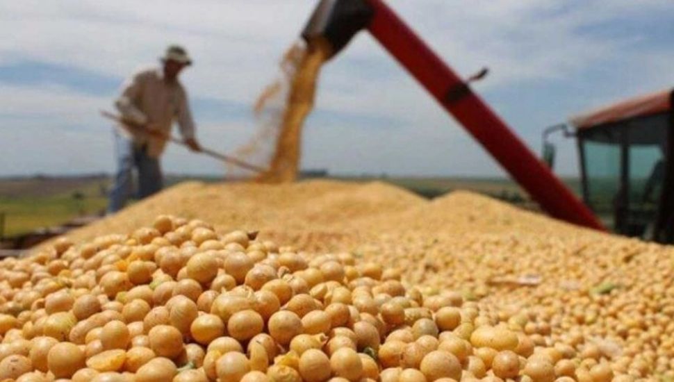 Se registró un récord en la exportación agrícola durante noviembre