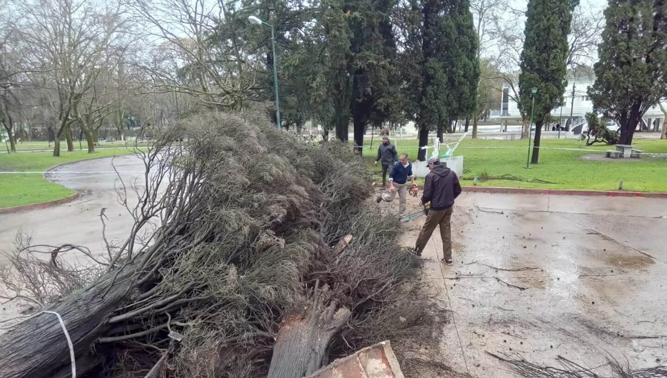 Las fuertes ráfagas de viento causaron inconvenientes en Salto
