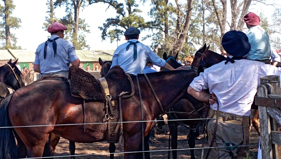 Se realizará en Pergamino la Primera Prueba de Mansedumbre con 94 domadores