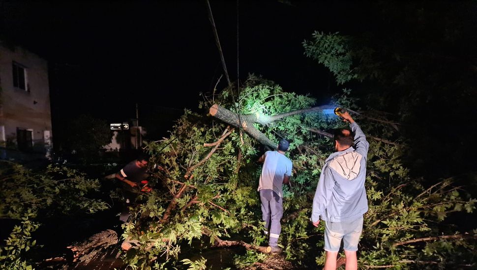 Un fuerte temporal golpeó a Junín y la Región