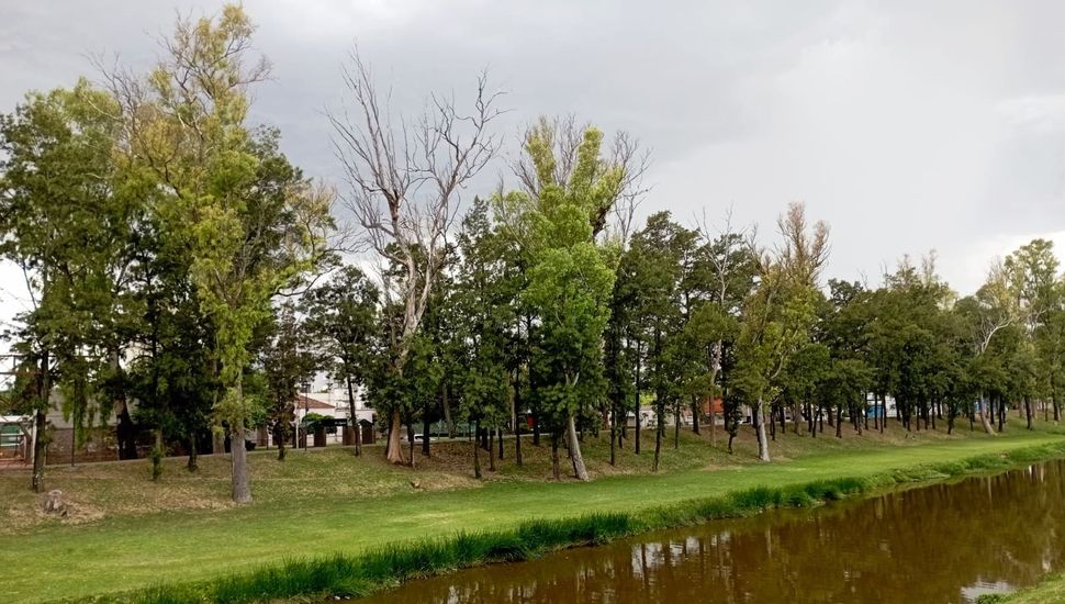 La lluvia dejó valores escasos en Pergamino y la región