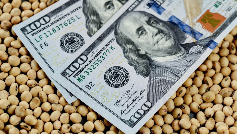 El Gobierno espera dólares de la soja pero el campo aún no vende