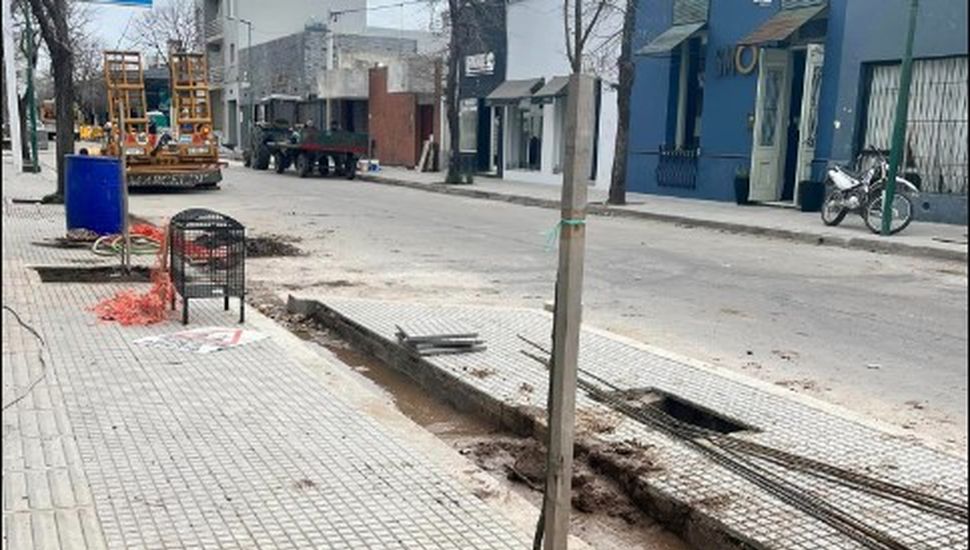 Reforestan la nueva calle Buenos Aires de Salto