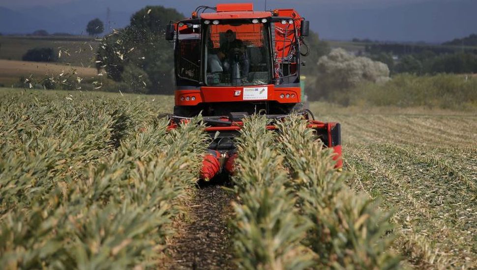 Comercio exterior operará con el tipo de cambio mayorista a $350