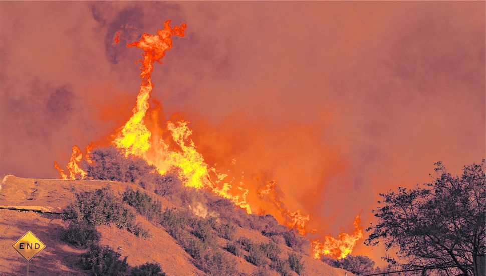 Los incendios de California se ubican entre los más costosos en la historia de EE.UU.