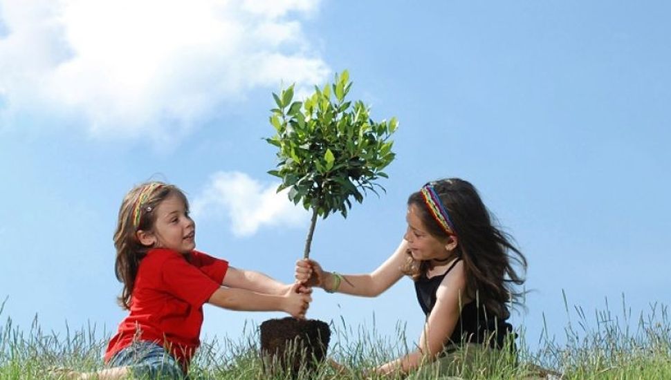 Día de las infancias: en Salto plantarán un árbol por nacimiento