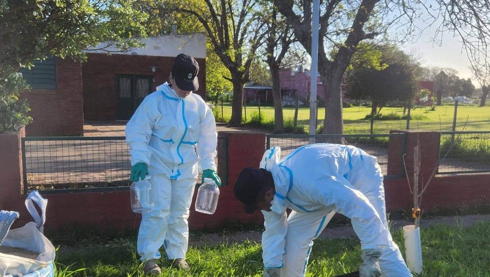 Restricción de aplicaciones con agroquímicos: se investiga un presunto caso en Ayerza