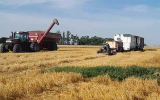 Campaña agrícola 2025/26: el campo se encuentra entre el optimismo productivo y la desconfianza política