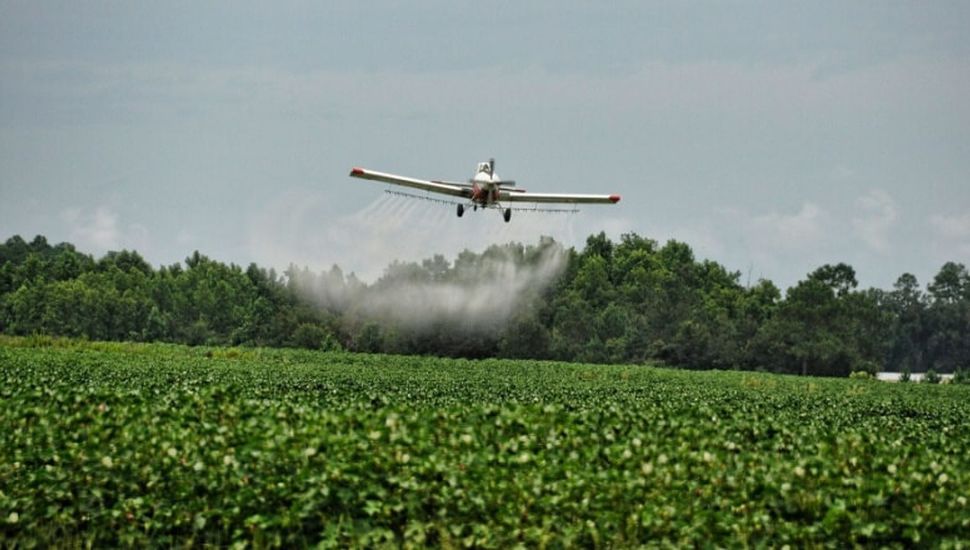 Comienza el juicio por las aplicaciones con agroquímicos en zonas urbanas de Pergamino