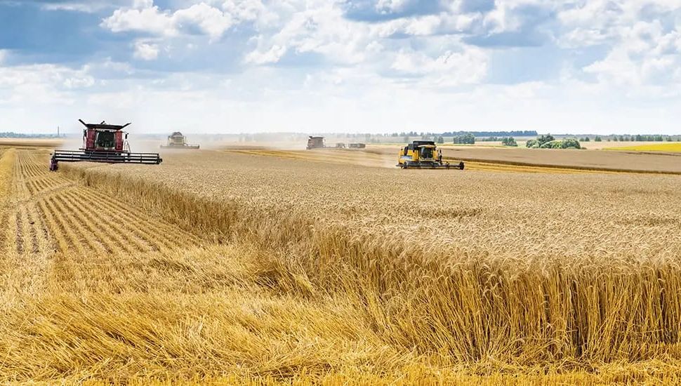 Culmina una campaña de trigo con muy buenos rindes en la región