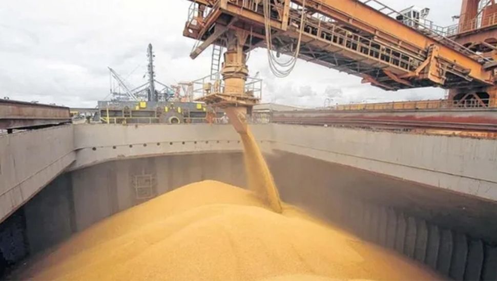 Campaña récord del campo: los granos generarían US$ 36.800 millones