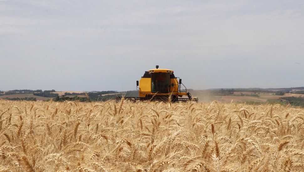 La siembra de trigo en Pergamino y Región comienza con expectativas moderadas