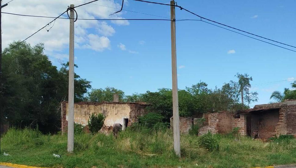 El Municipio de Rojas intima a vecinos por el corte de pasto