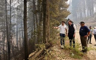 Santilli recorrió las zonas afectadas por incendios en Chubut