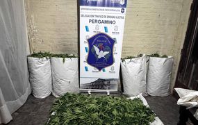 Procedimiento antidrogas en Colón: detienen a una mujer y a su hijo