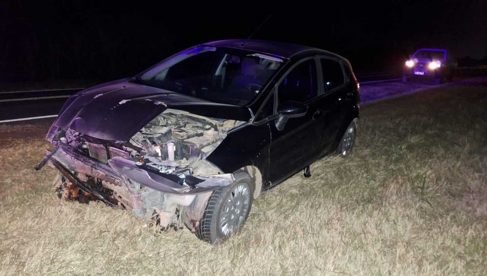 Se registró un accidente ocasionado por un animal suelto en la Ruta Nº 8